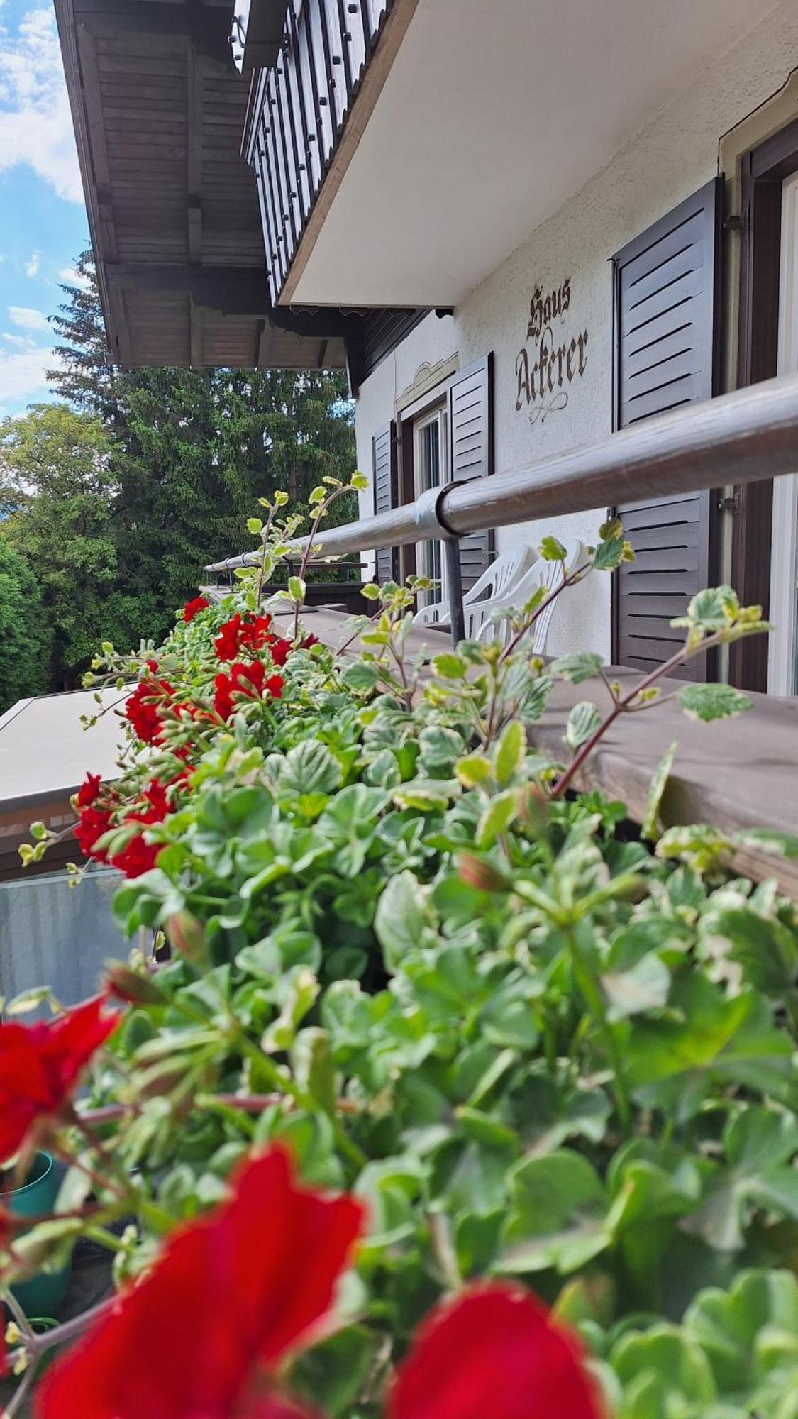 Haus Ackerer Appartement Leogang Buitenkant foto