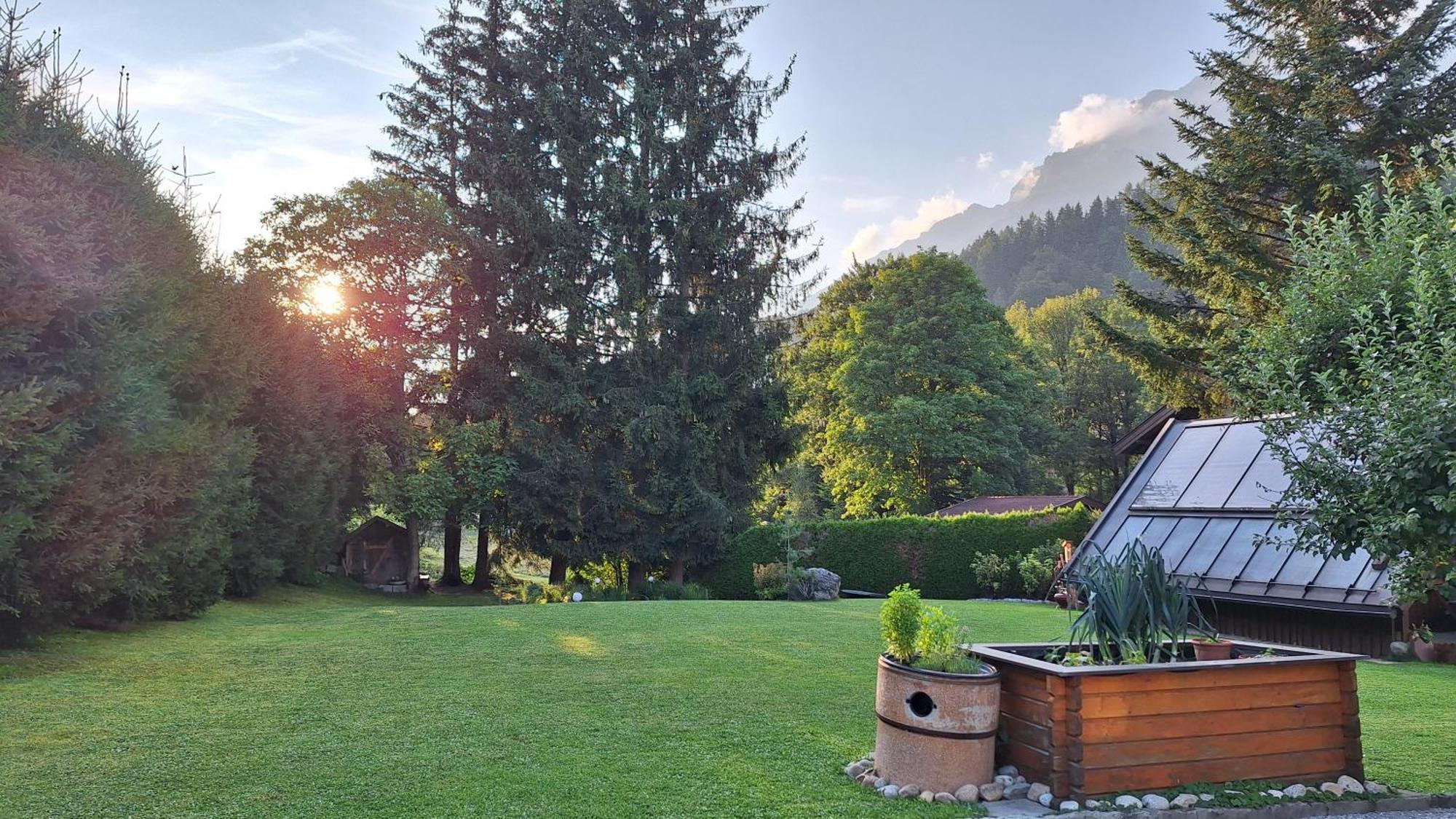 Haus Ackerer Appartement Leogang Buitenkant foto